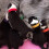 (XL) Assorted Color Puppy ID Collars 15pcs Identification Set 5