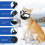 (M) Soft Reflective Fully Closed Multifunctional Adjustable Muzzle Stops Unwanted Behavior M 4