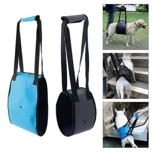 (Gray, S) Adjustable Soft Padded No Pull Dog Lift Harness Pet Carrier for Training Support XL Blue 1