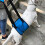 (Gray, S) Adjustable Soft Padded No Pull Dog Lift Harness Pet Carrier for Training Support XL Blue 4