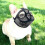 (Black, M) Short Snout Dogs Mesh Muzzle Adjustable Training Aid Stop Biting Chewing Barking 5