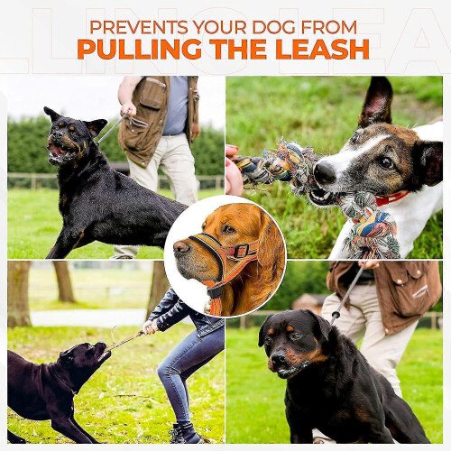 (Orange, M) Reflective Safety Strap Dog Head Halter Collar No-Pull Adjustable Training Harness 2