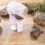 (White) Universal Auto Timer Detachable Turtle Bowls Feeder Anti-Slip Base Emerald 4