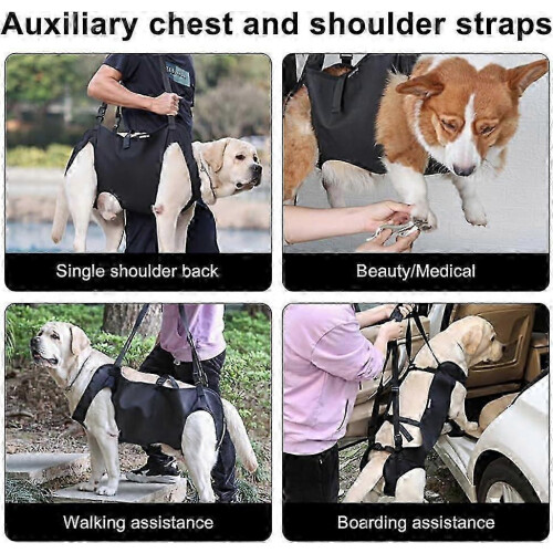 (M) Dog Lifting Harness Adjustable Mobility Aid for Walking Aging Disabled Pets Weak Feet 2