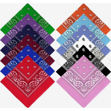 Ensemble de 24 bandanas, 12 couleurs, foulard, foulard rouge, accessoire de coiffure pour femmes et hommes, accessoires de mode, danse, motards, sport
