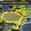 Water dispenser, bee drinking trough, floating bee honeycomb net cups 2