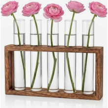 Kleine vintage bloemenvaas, moderne glazen reageerbuisjes voor bloemen met houten standaard, platte glazen buisjes, decoratieve vazenset voor hydrocul