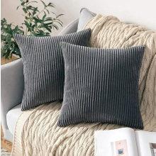 Set van 2 corduroy kussenhoezen, decoratieve kussenhoezen, sierkussenhoezen 40x40 cm, bankkussens, fauteuilkussens, decoratieve kussens, kussenhoezen
