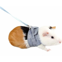 Pettorina e guinzaglio per piccoli animali. Guinzaglio regolabile per passeggiate con animali domestici. Gilet imbottito per il massimo comfort. Guinz
