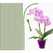Supporto per piante da 44,5 cm, set di 20 paletti per piante HOUNANG per uso interno ed esterno, paletti flessibili per orchidee realizzati in plastic