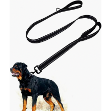 Hondenriem voor grote en middelgrote honden met geïntegreerde korte lijn, reflecterende lijn, 2 comfortabele, gevoerde handlussen en een lijn van 1,5