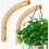 Soporte de pared de madera para plantas (2 piezas) 1