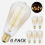 Set van 6 stuks 40W Ampullen E27 Edison ST64 Vintage 2