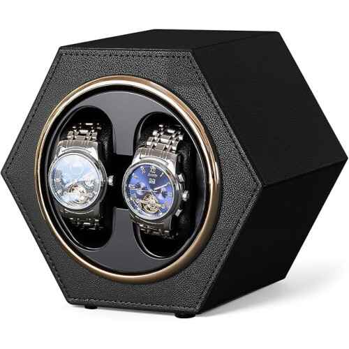 Elegant Automatic Dual Watch Winder Case