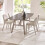 Set of 2 Holly Beige Chenille  Dining Chairs 4