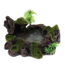 Terrarium Reptile Feeding Bowl With Plant Moss Decor Amphibian Food Water Dish Tray