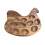Vintage Hen Wooden Egg Holder for Kitchen Pantry Storage 5