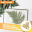 20Pcs Brass Picture Hanging Plates Mirror Glass Frame Fixing Brackets 5
