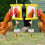 6x2 Interactive Chicken Mirror Toys for Birds Parakeets with Bell Yellow 5