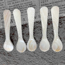 2-Piece Mother of Pearl Caviar Spoons with Round Handle for Egg Ice Cream Coffee