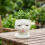 Decorative Face-Shaped Planter Unique Coffee Table Decor for Home 4
