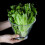 Smooth Acrylic Salad Bowl Multipurpose Mixing Serving Container for Popcorn Snacks 20X18cm 3