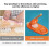 DIY Dumpling Skin Maker Artifact Easy Press for Perfect Wrappers 2