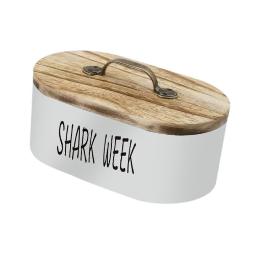 Wooden Oval Organizer Desktop Storage Box Multipurpose Jewelry Case white B 1