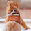 Reptile Leash & Harness Set – 6-Piece Lizard Walking Set 7