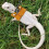 Reptile Leash & Harness Set – 6-Piece Lizard Walking Set 4
