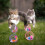 Cat Interactive Toy Set – 5-Piece Feather Balls & Plush Mice 8