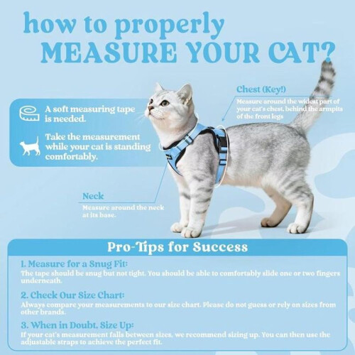 Reflective Cat Harness Vest – Adjustable Breathable Leash Set (Light Blue S) 1
