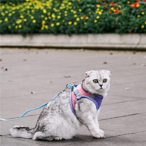 Vest-Style Cat Harness – Escape-Proof Reflective Safety Harness 2
