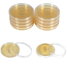 10 Pcs Nutrient Agar Plates Petri Dishes 7cm Pre Poured Science Tool STEM Education Microbiology Nutritional AGAR Plates