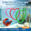 Heart Shape Floating Fish Feeding  - Aquarium Plant Isolation Window Feeder Decor Accessory 4