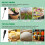 Soil and Food PH Tester,Measures EC,Humidity,Temperature,Fertility,Nitrogen,Phosphorus,Potassium for Soil,Fruits,Meat 7