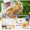 30pcs Beeswax Sheets, Bee Hive Foundation Sheets, Beehive Wax Foundation Sheets, Beeswax Honeycomb Sheets for Beekeeping 3