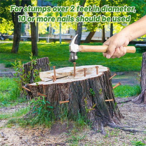 30Pcs Copper Nails for Killing Trees Stump Root, 3.5 Inch Pure Copper Nails Bulk with Drill, Tree Stump Killing 1