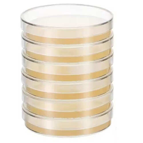 10 Pcs Nutrient Agar Plates Petri Dishes 7cm Pre Poured Science Tool STEM Education Microbiology Nutritional AGAR Plates 2