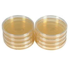 10 Pcs Nutrient Agar Plates Petri Dishes 7cm Pre Poured Science Tool STEM Education Microbiology Nutritional AGAR Plates