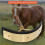 Horse Comb, Sweat Comb and Bathing Brushes for Effective Equine Cleaning & Care 3