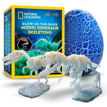 National Geographic Glow in the Dark Dinosaur Skeleton Building Kit
