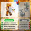 Magnetopia 20-Piece Rotatable Magnetic Action Figures with Magnetic Building Blocks Set 7