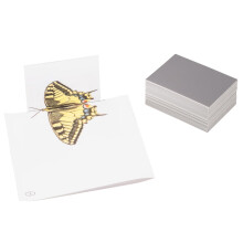 WISSNER Geometry Mirrors (25 Pieces) Class Set - Discover Symmetry in Maths Lessons