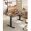 VASAGLE VASAGLE Electric Standing Desk, Height Adjustable, 140 x 70 cm 2