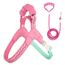 Reflective Dog Harness Set No-Pull Step-in Vest for Small Dogs B