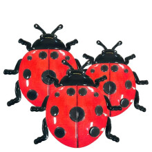 3SZT Dekoracja Ścienna Żuk Ladybug Żuk do Dekoracji Ściennej w Domu do Ogrodu, Salonu, Kuchni, Werandy