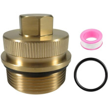 Version Brass Drain Plug Cap Assembly for 190030, for Clean for FNS Essential Pool Maintenance Accessory