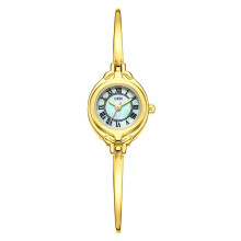 (Gold Green) Wristwatch Ladies Trendy With Decorative Features And Slim Alloy Gifts Strap For