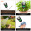 7 in 1 Soil Test Soil Moisture Meter/PH Meter/Light Intensity/Fertility/Air & Soil Hygrometer Temperature with Display 6